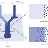 Semiconductor Chips