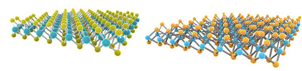 MoS2 and WTe2