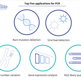 PCR in Laminar Flow Hoods