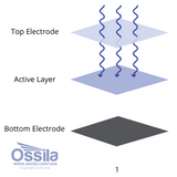 PEDOT:PSS Electrodes