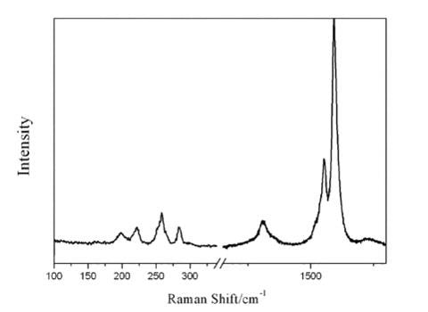 Single-walled carbon nanotube raman spectra