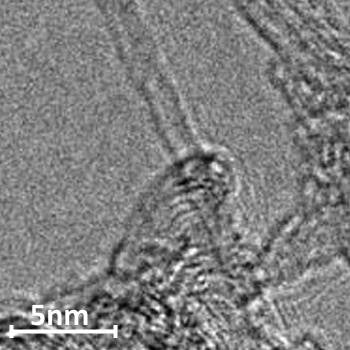 Single-walled carbon nanotube TEM image