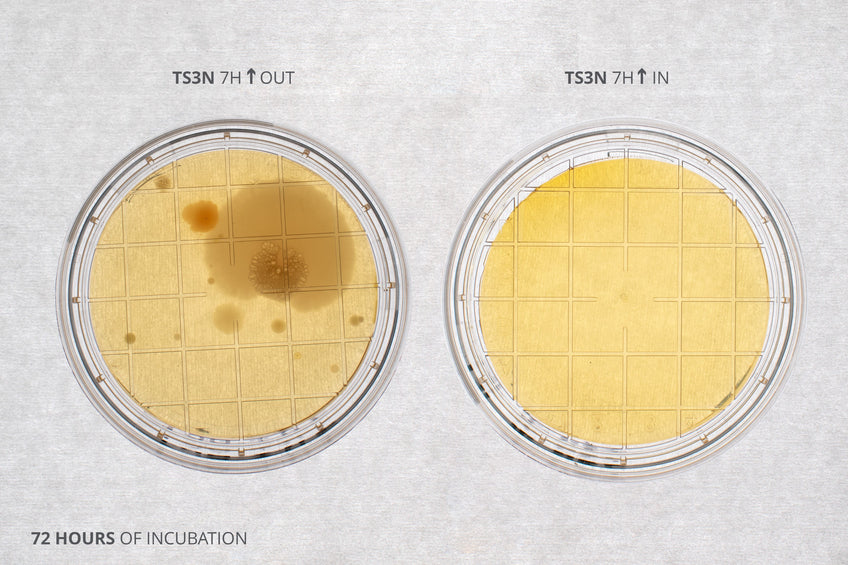 Bacterial agar plates contamination outside and inside the laminar flow hood