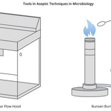 What Are Aseptic Techniques?