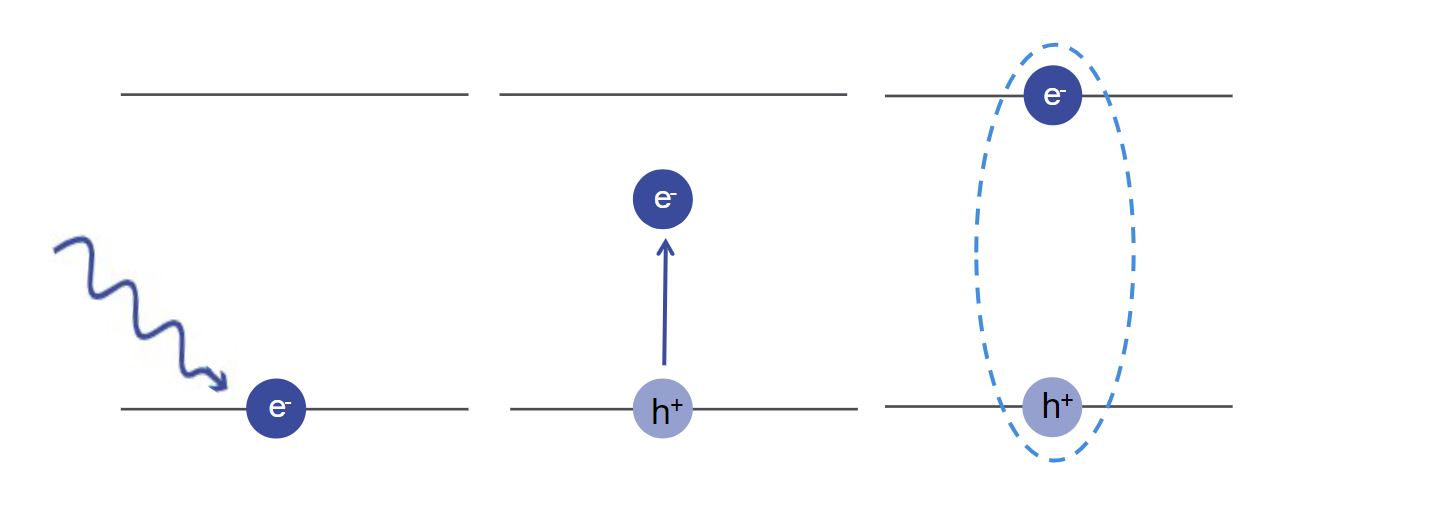 Absorption of a photon creates an electron-hole pair, which can form a bound exciton