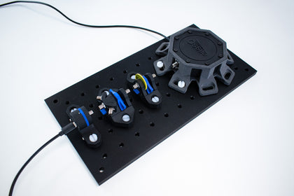 Fluorescence spectroscopy set up with four-port sample holder and optical filters