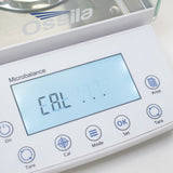 Analytical Balance Calibration