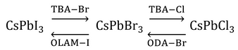 Anion exchange in perovskite quantum dots