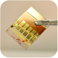 Perovskite solar cell