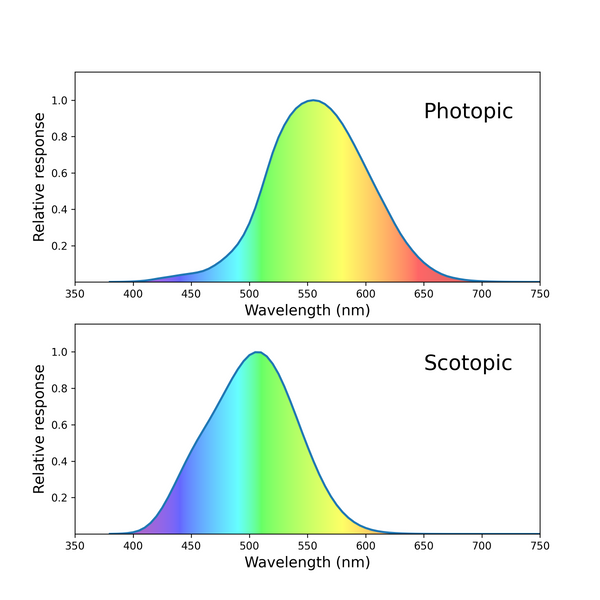 luminosity functions of photopic and scotopic visions