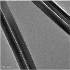 Silver Nanowire Dispersion CAS 7440-22-4