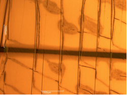 TIPS pentacene crystals across OFET channel